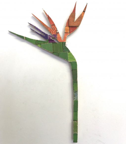 Strelitzia - Orange_Green