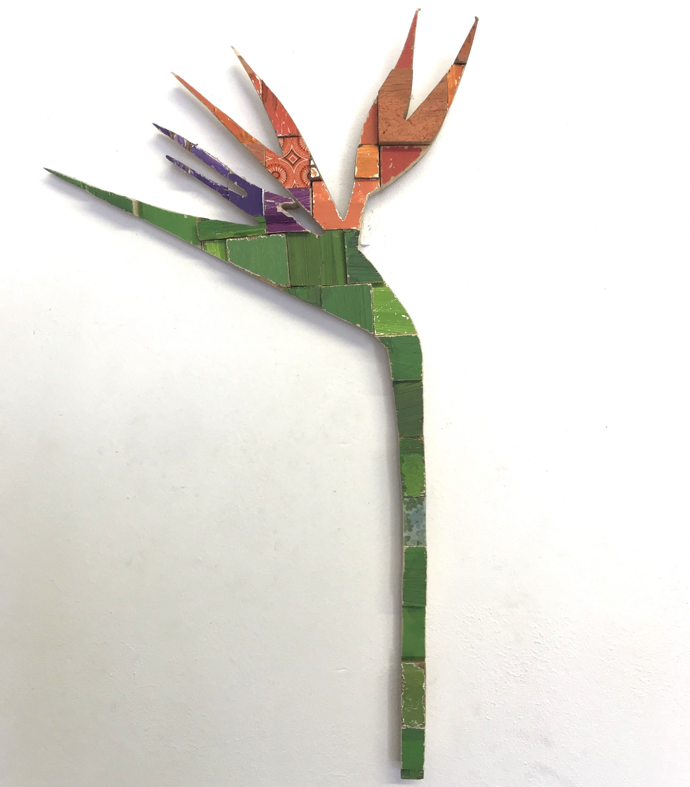 Strelitzia - Orange_Green